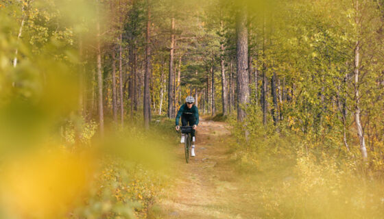 Imagefoto Fahrrad Wald Imagefoto Fahrrad Wald