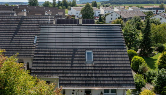 EFH Hochfelden 5