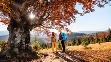 Herbst Hauptpreis