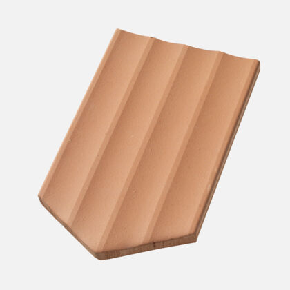 Single product shot of Casta Product shot Casta