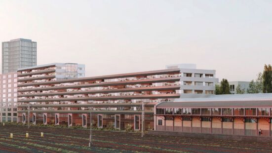 «Janus»: Wettbewerbsbeitrag Wolf Basel, 1. Preis, 2025, zusammen mit Experience Wilde Karte #08 Finalist M-AP Architectes