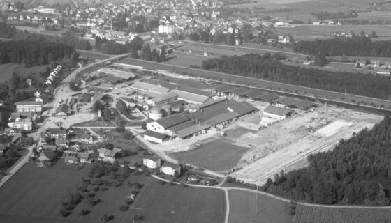Geschichte Zürcher Ziegeleien Istighofen 1973 Geschichte Zürcher Ziegeleien Istighofen 1973