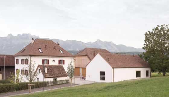 Hagenhaus Nendeln 1