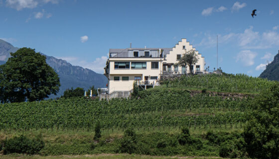 Referenzobjekt Schl&ouml;ssli B&uuml;el in Bad Ragaz
