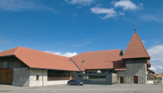 Pferdezentrum March&eacute;-Concours in Saign&eacute;legier