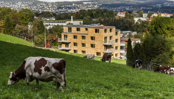 porotherm, mcs-house, multi family multi family, MCS-house in Zurich