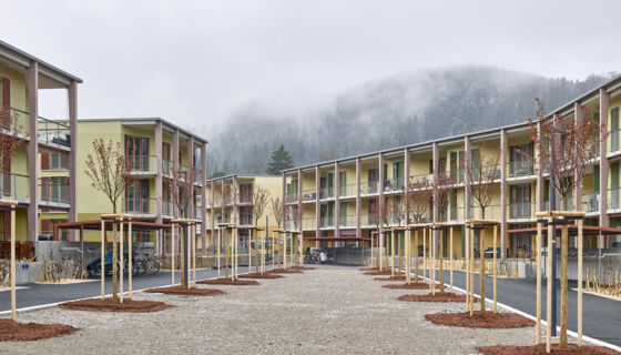 Porotherm - Mehrfamilienhaus Oberzelg Winterthur