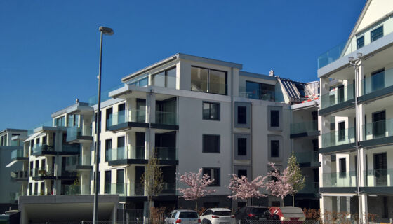 porotherm, multi family Multi family house Schwanenpark in Siebnen