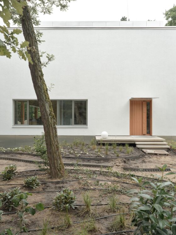Wilde Karte #08 Finalist Ewa Kaszuba