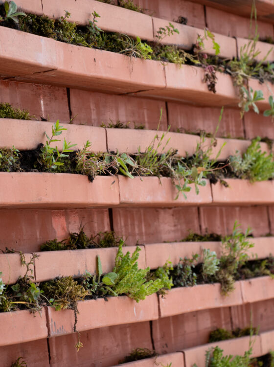 Jubiläumsfeier Laufen Greenbrick Jubiläumsfeier Laufen Greenbrick