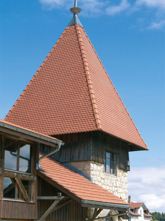 Pferdezentrum March&eacute;-Concours in Saign&eacute;legier