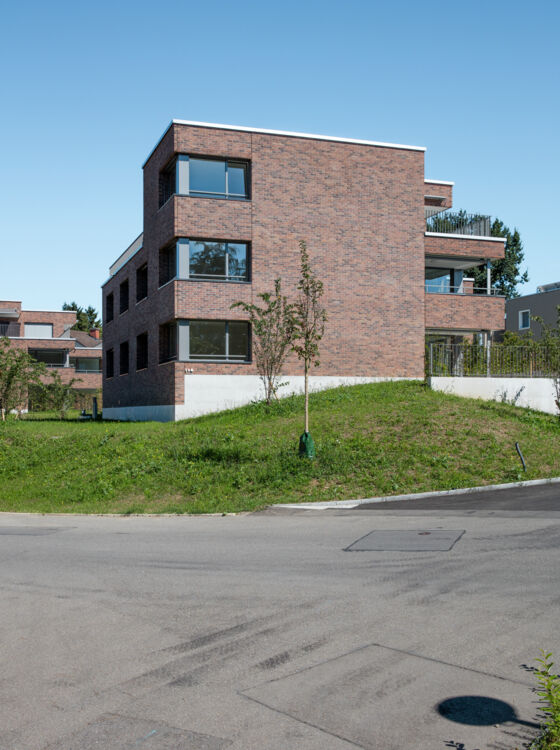 Terca, multi family, Kastanie Multi family house in Meilen